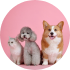 Pets